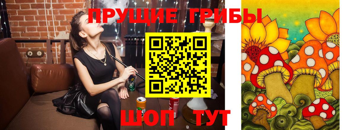 Галлюциногенные грибы мицелий Урус-Мартан
