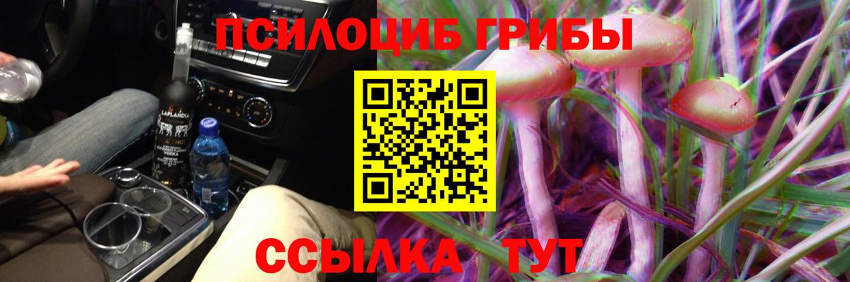 Псилоцибиновые грибы MAGIC MUSHROOMS  Вход с VPN  Урус-Мартан  Галлюциногенные грибы мухоморы 